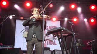 Andrew Bird Performs &quot;Plasticities&quot; Live - 2014 Calgary Folk Music Festival