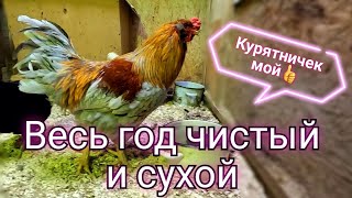 🔴Курятник без влаги, вони и паразитов.