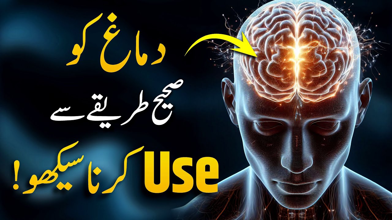 How to Improve Your Brain Power | How to Use Your Brain More ...