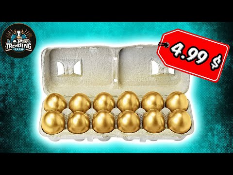 السبب الحقيقي وراء ارتفاع أسعار البيض في عام 2025 ما لا يخبرونك به
