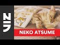 Neko Atsume Kitty Collector Haiku: Seasons of the Kitty - Princess for a Day