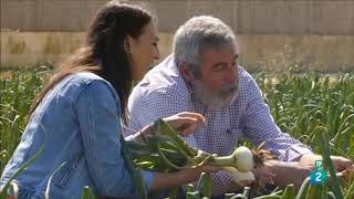 Las rutas de Verónica Cádiz La Janda RTVE es