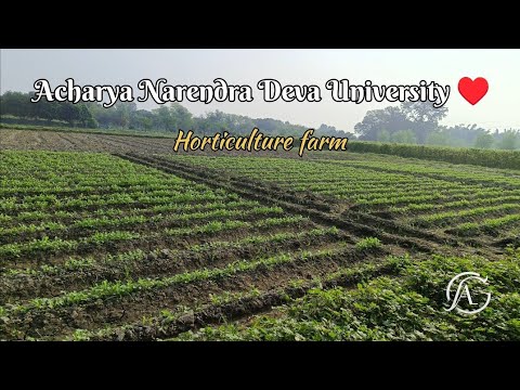 Acharya Narendra Deva University ♥️/ thanks for 60k views.........# ...