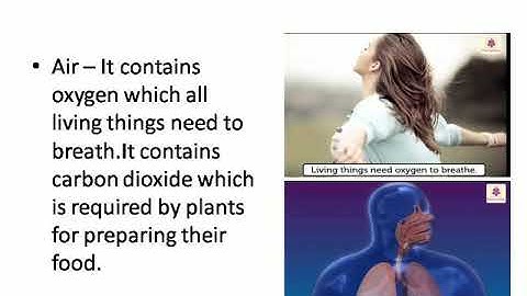 Living And Non Living Things I Class-4 I EVS I DAPS-1 I Durga