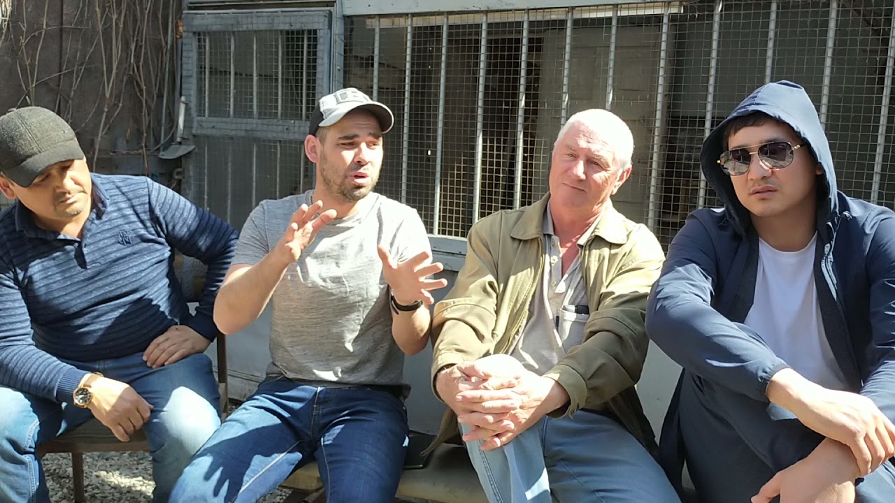 ответ от голубеводов Азии гагику акопяну