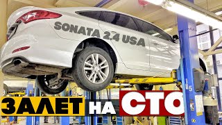 НЕ КУПИЛИ две Hyundai Sonata клиенту, ПОЧЕМУ? Какие проблемы нашли на СТО?Автоподбор Киев Соната 2.4