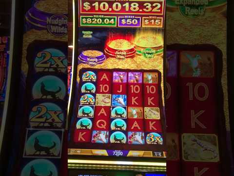 Deluxe Wheel (4) Jackpot Cash