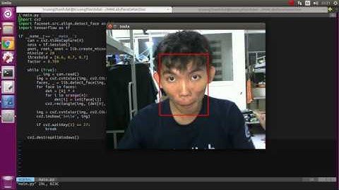 Real time face detection using MTCNN (on GPU)