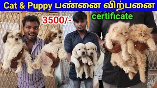 ‼நேரடி பண்னை விற்பனை  Dog puppies &  Cat Dog kennel