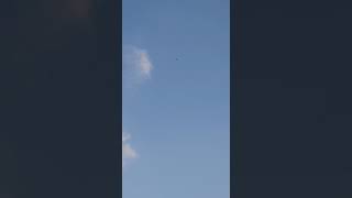 You Must See Moment Of Seriuos Battle Kites During My Quarantine Time