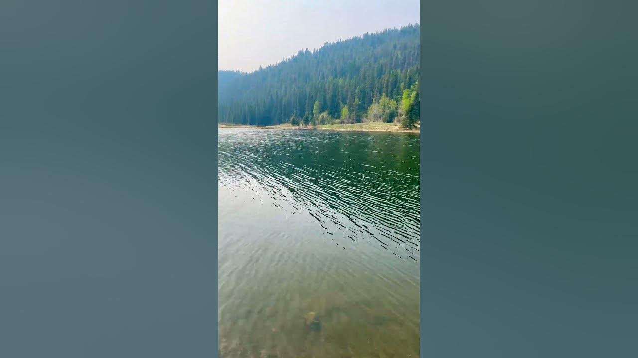 Sibbald Creek Trail Ponds trout fishing nature canada
