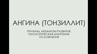 АНГИНА (ТОНЗИЛЛИТ). ПРИЧИНЫ, МЕХАНИЗМ РАЗВИТИЯ, ПАТОЛОГИЧЕСКАЯ АНАТОМИЯ, ОСЛОЖНЕНИЯ.