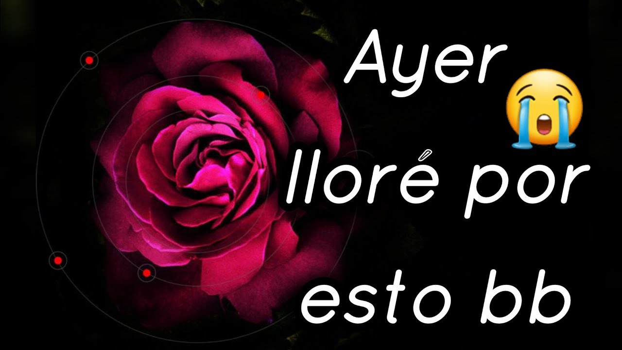 No me pude contener ayer cariño 🥺