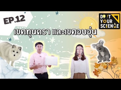 วีดีโอ: ป่าฝนเขตอบอุ่นร้อนหรือเย็นหรือไม่?