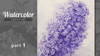 видео: Как нарисовать гиацинт акварелью. Урок, часть 1 картинка: Как нарисовать гиацинт акварелью. Урок, часть 1