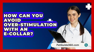How Can You Avoid Over-Stimulation with an E-Collar? - PetGuide360.com