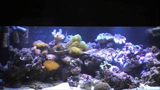 Wave Maker Part 2
