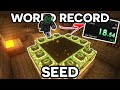 The End in UNDER 20 SECONDS - A WORLD RECORD Minecraft Seed...