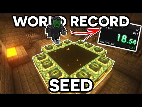 The End in UNDER 20 SECONDS - A WORLD RECORD Minecraft Seed...