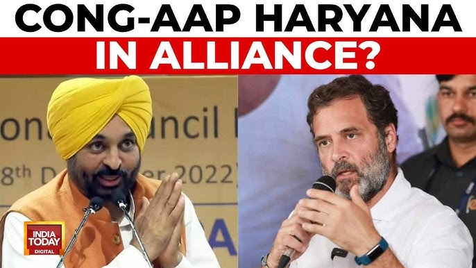 Haryana Assembly Polls: Congress-AAP Alliance Talks, Vinesh Poghat's Haryana Polls Bid