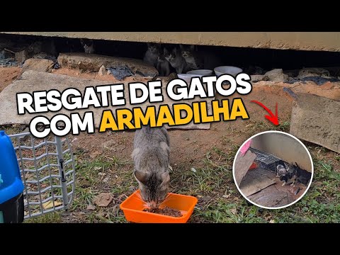 Vídeo: 3 maneiras de limpar uma banheira de imersão usando alvejante