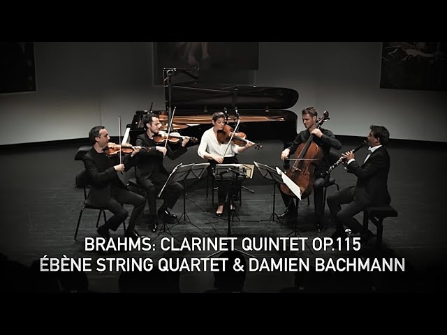 Brahms - Quintette avec clarinette:1er mvt : P.Meyer / Quatuor Capuçon