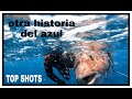 TOP SHOT (EL GRAN LIMON, OTRA HISTORIA DEL AZUL) Pesca submarina SPEARFISHING GRUPER1007