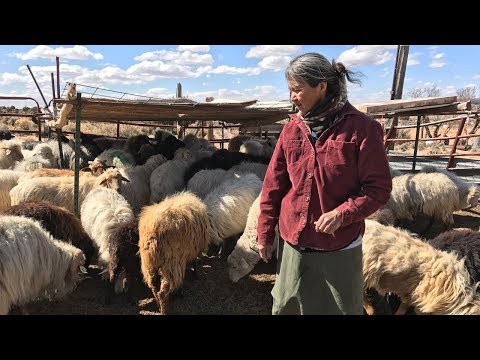 360 Video: Climate Change on the Navajo Nation