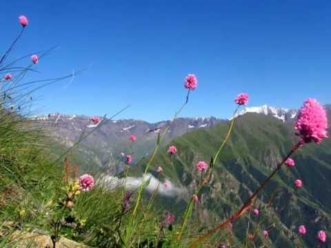 ვერცხლის თასადამც მაქცია .-lela tataraidze wmv