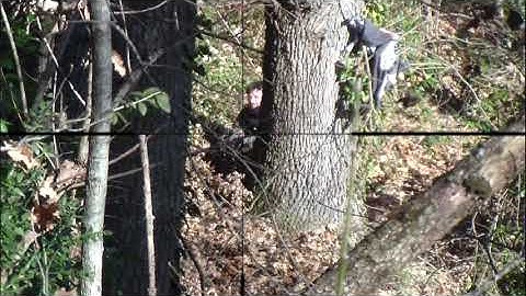 SNIPER and Capture the Flag - TOO Easy to be REAL