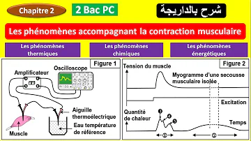 Quel phénomène thermique se produit généralement dans un volume Semi-ouvert ?