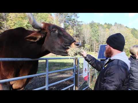 Brattleboro's Retreat Farm