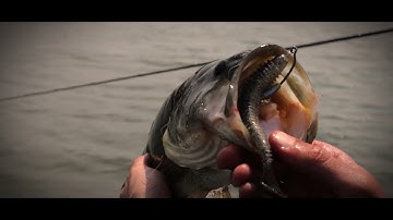 Introducing the new BKK hooks.