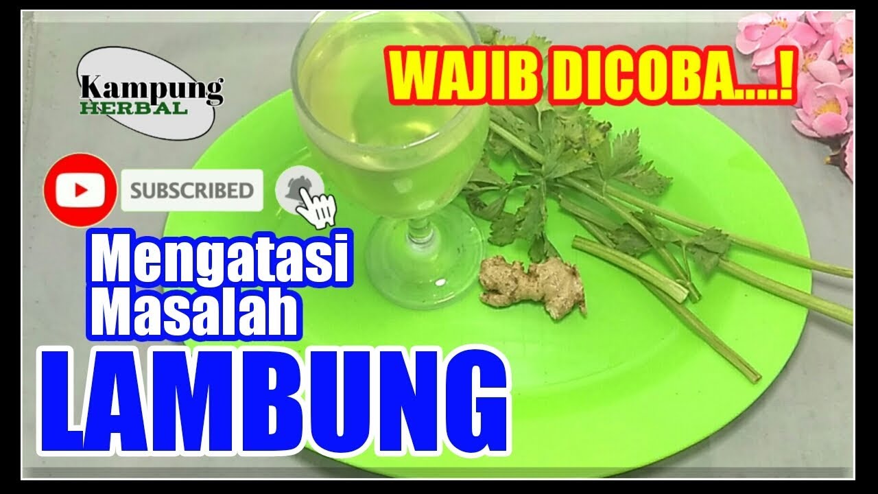 Blog Kesehatan Informasi Kesehatan Dan Pengobatan Herbal Blog Kesehatan Informasi Kesehatan Dan Pengobatan Herbal