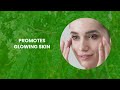 🌿 What Can 1 Teaspoon of Moringa a Day Do for Your Body?