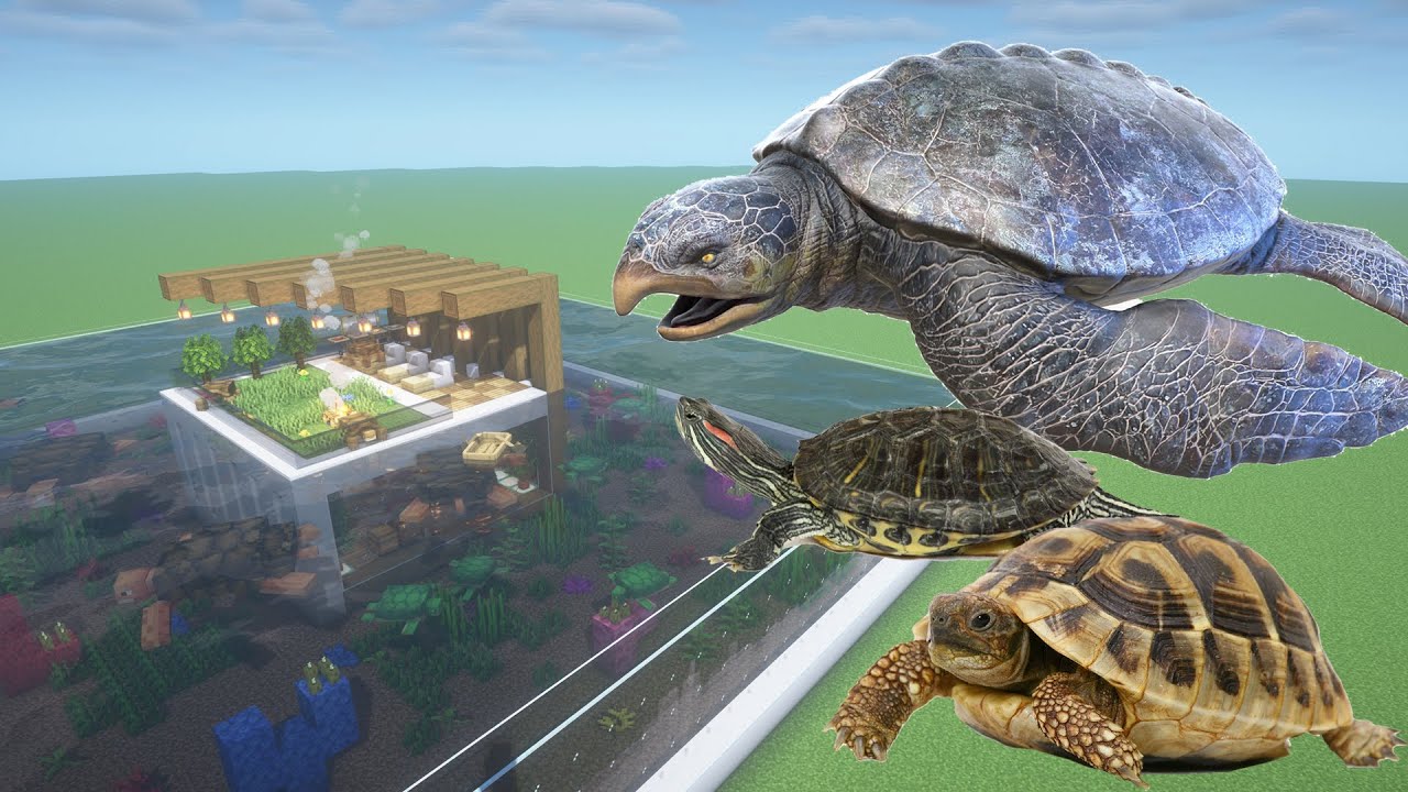 How to make a turtle tortoise and archelon farm in minecraft pe youtube