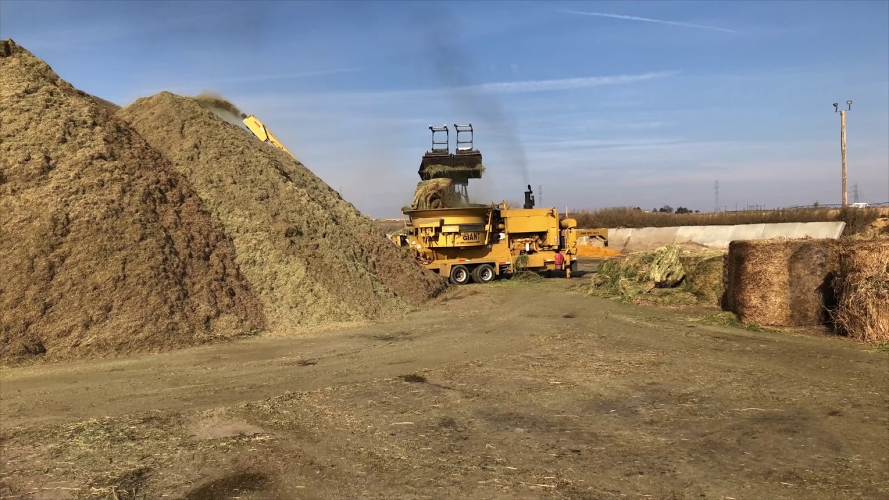 Grinding Hay 2017
