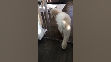 Engage disengage game