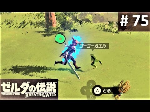 ゼルダbotw ほこらチャレンジ ふたつの輪 シ ダゴズの祠 攻略チャートと祠の場所 ブレスオブザワイルド 攻略大百科