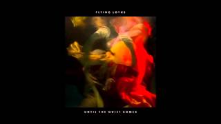 Flying Lotus - Hunger (featuring Niki Randa)