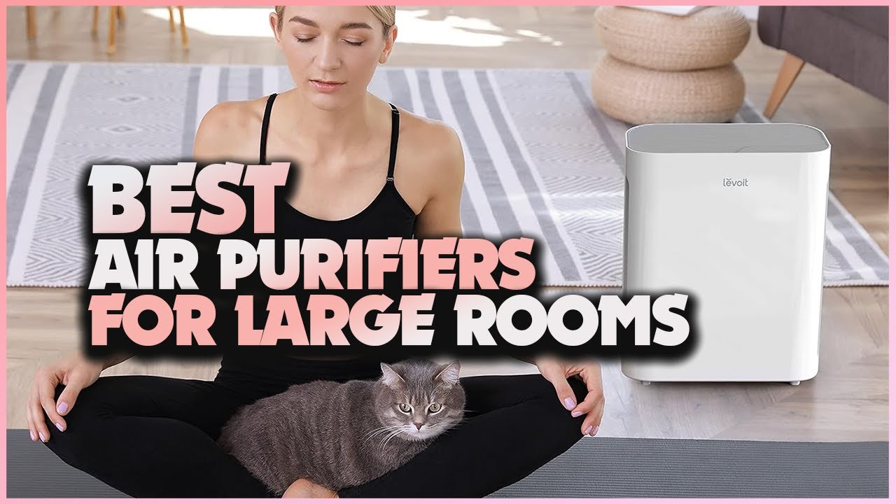 The Top 5 Best Air Purifiers for Large Rooms