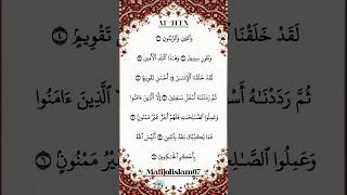 Let's Listen and Learn Surah At-Teen with Finger Tracking☝️#surahattin #quran #quranrecitation