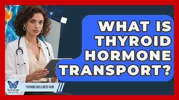 What Is Thyroid Hormone Transport? - Thyroid Wellness Hub