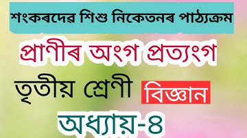 Class 3 Science ।। প্ৰাণীৰ অংগ প্ৰত্যংগ ।। তৃতীয় শ্ৰেণীৰ বিজ্ঞান ।।  শংকৰদেৱ শিশু নিকেতন ।।