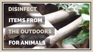How to Disinfect Sticks, Logs & Soil for Animal Enclosures