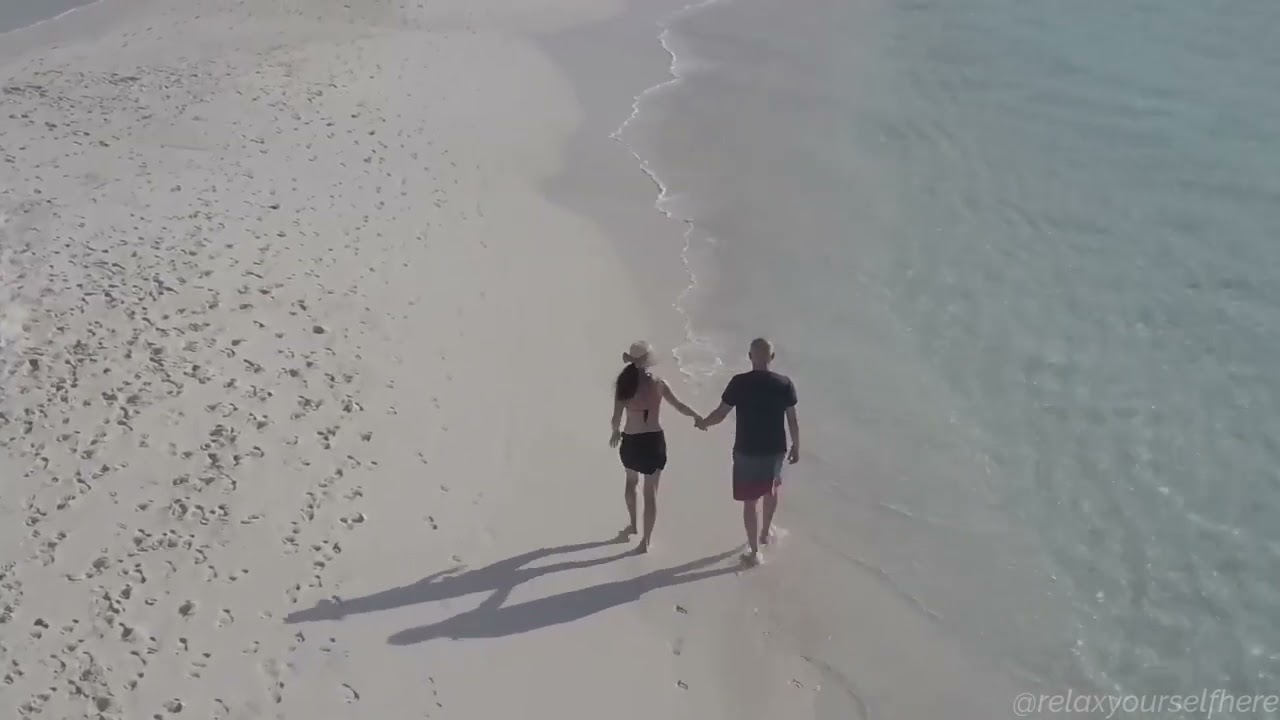 Relaxing Music for Studying and Stress Relief | Boost Focus and Find Tranquility Vol 951