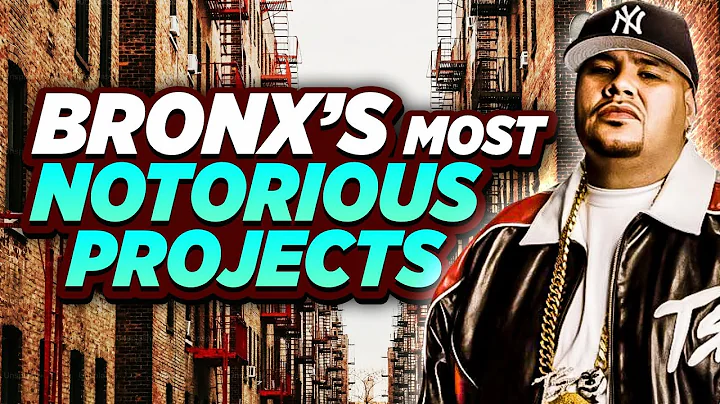 The Most Notorious Housing Projects In The Bronx