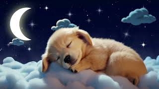 Music for Babies 💛 Instant Sleep with Soft Lullaby Music 💤 Brahms & More classics 🌙 Peaceful Slumber