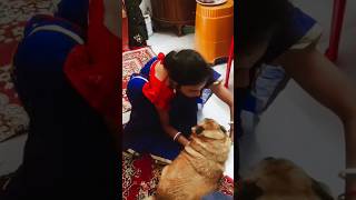 চুনচুনি এটা আমার সাথে ঠিক করলো না 🥺 #viralvideo #nideshidog #yutubeshorts #trending #funny #comedy