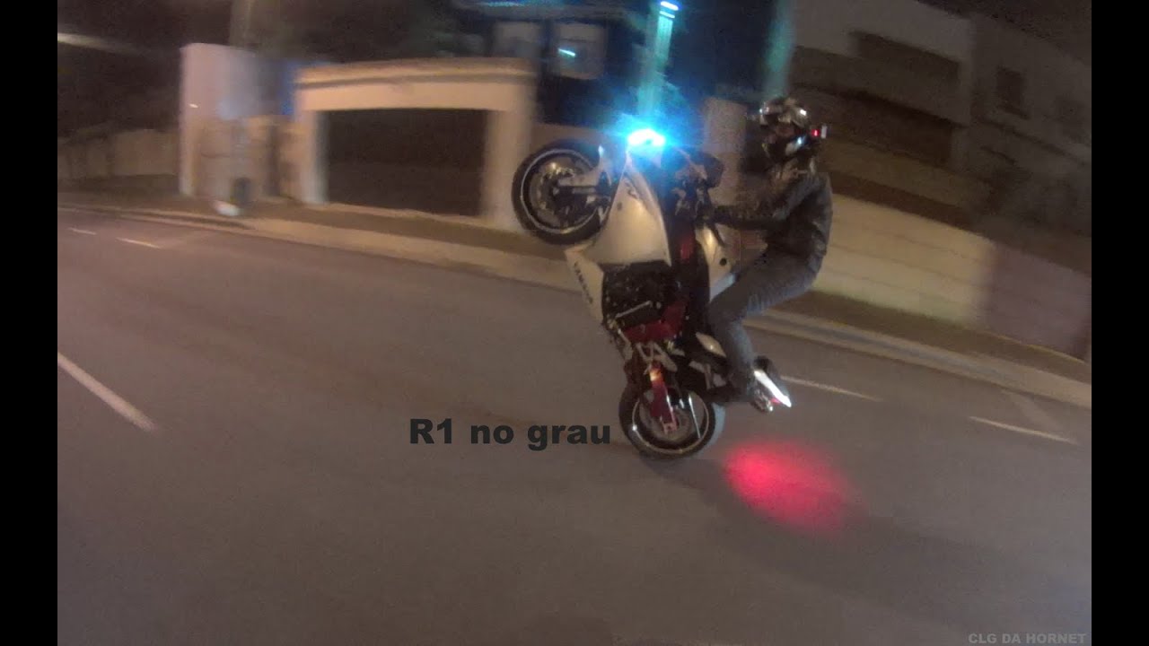 coleção ivy park adidas